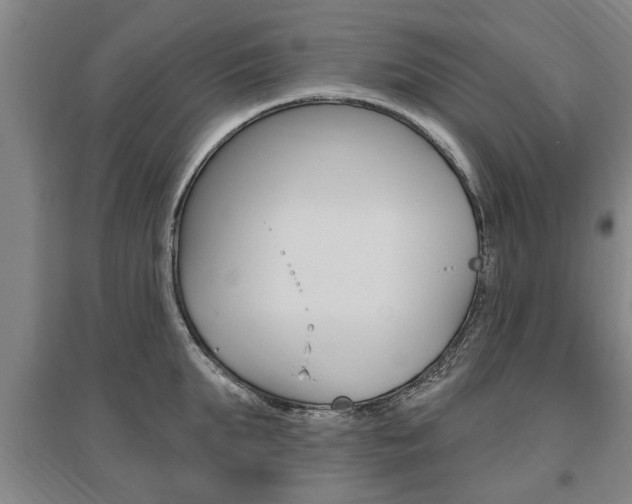 X0000095920903200801110852