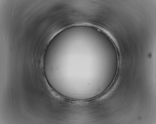 X0000095920905200801110852