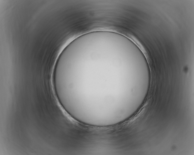 X0000095920909200801110852