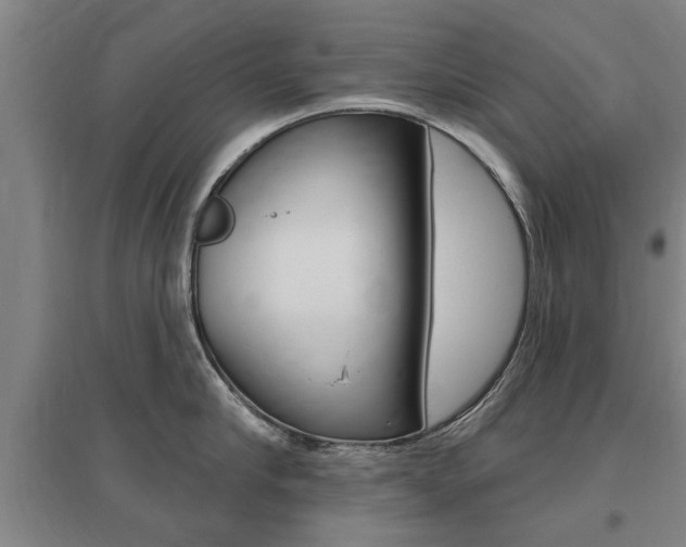 X0000095920910200801110852
