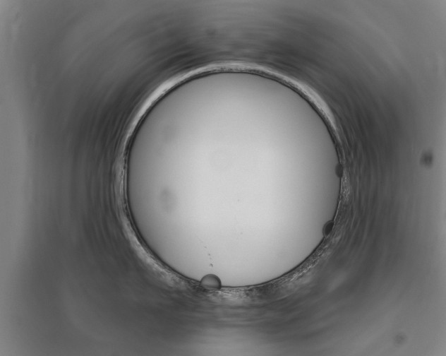 X0000095920911200801110852