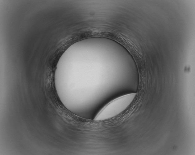 X0000095920914200801110851