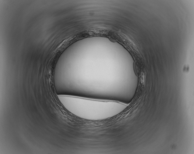 X0000095920915200801110851