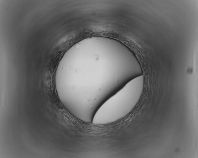 X0000095920917200801110851