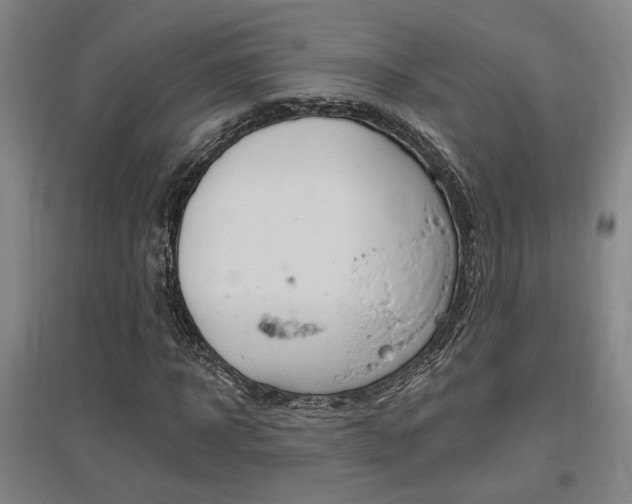 X0000095920918200801110851