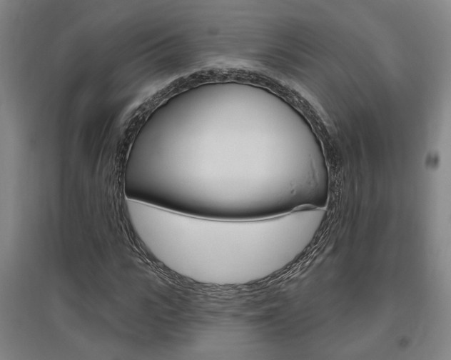 X0000095920919200801110851