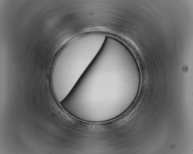 X0000095920921200801110851