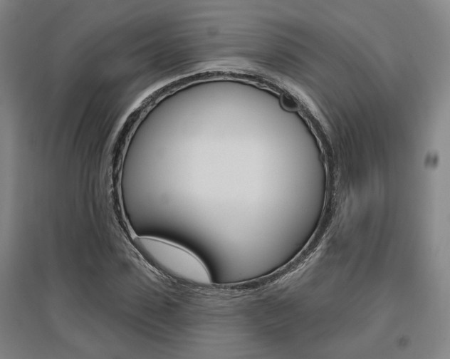 X0000095920923200801110851
