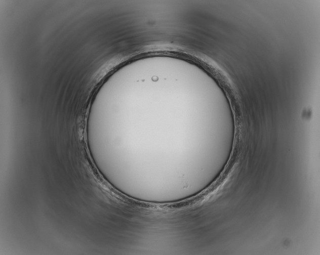 X0000095920929200801110851