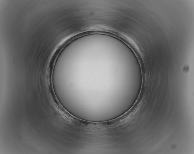 X0000095920931200801110851