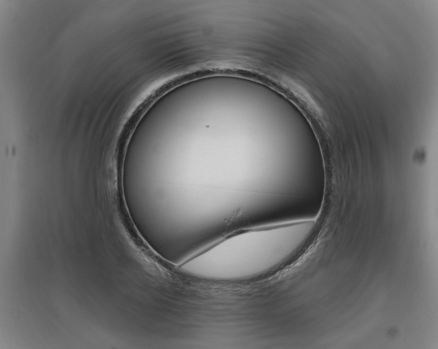 X0000095920934200801110851