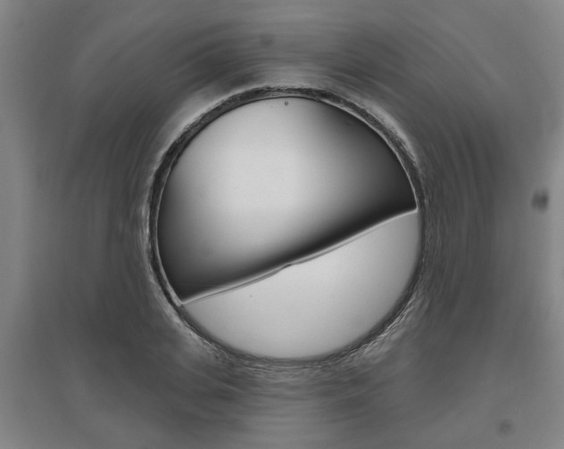 X0000095920935200801110851