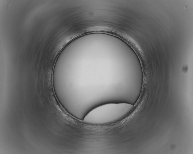 X0000095920937200801110851