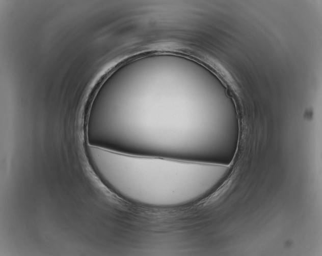 X0000095920939200801110851