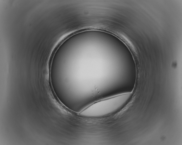 X0000095920940200801110851