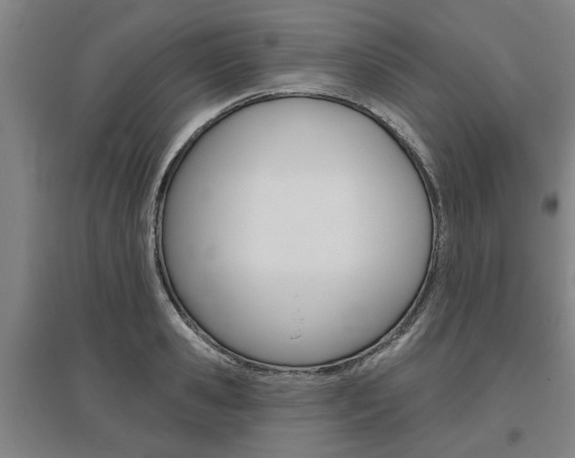 X0000095920941200801110851