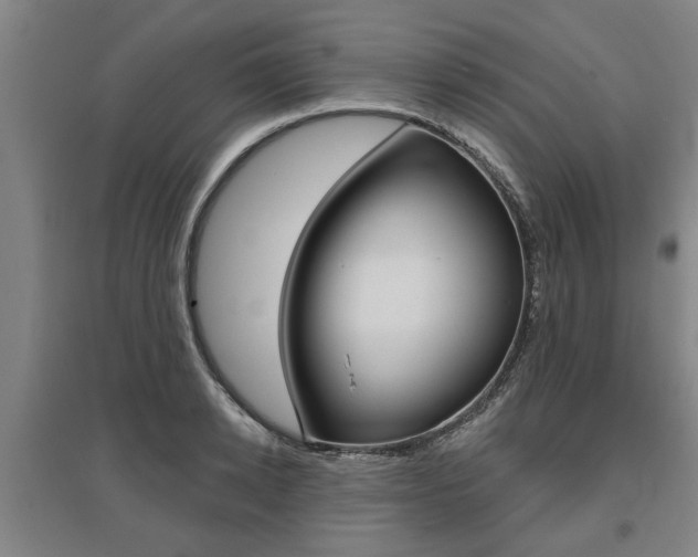 X0000095920942200801110851