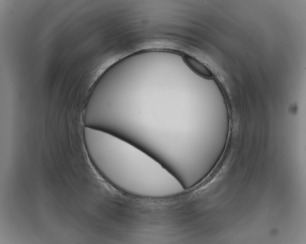 X0000095920945200801110852