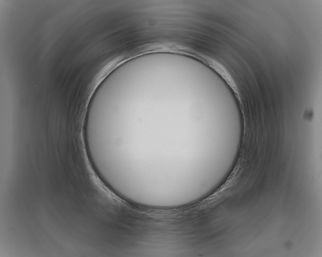 X0000095920946200801110852
