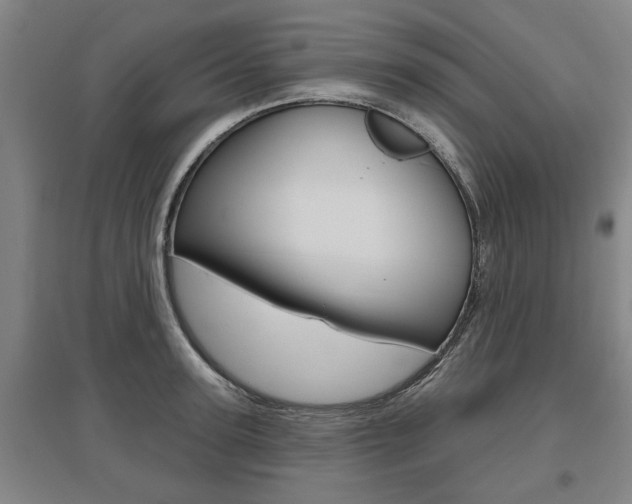 X0000095920947200801110852
