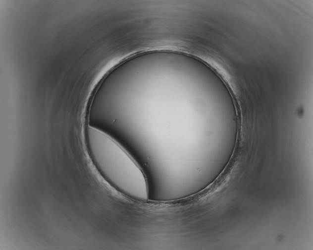 X0000095920949200801110852