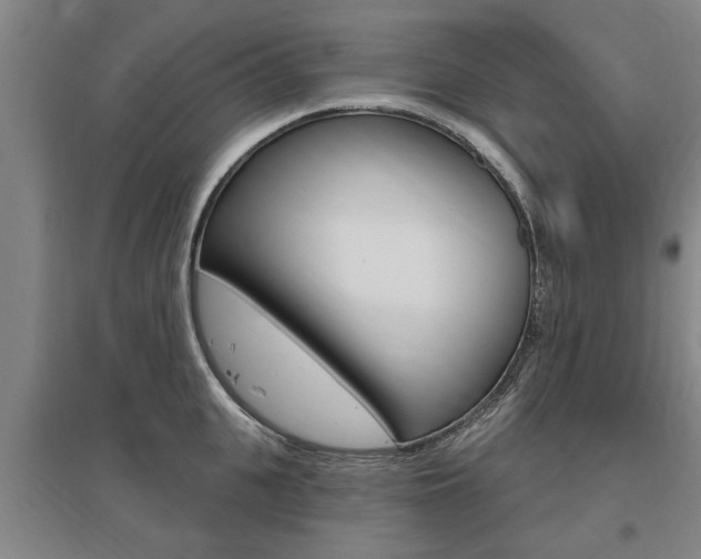 X0000095920951200801110852