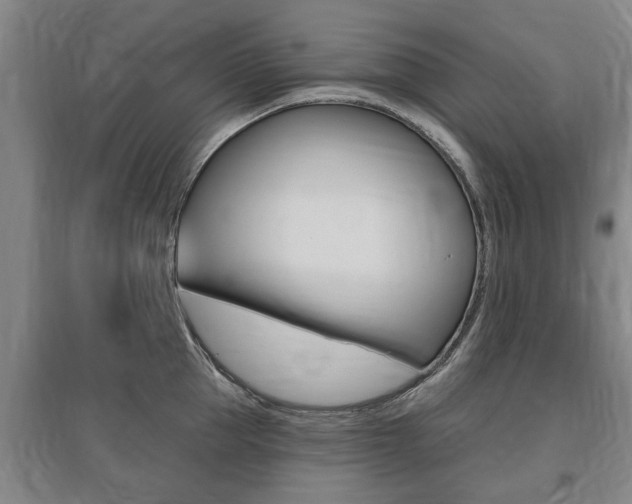 X0000095920953200801110852