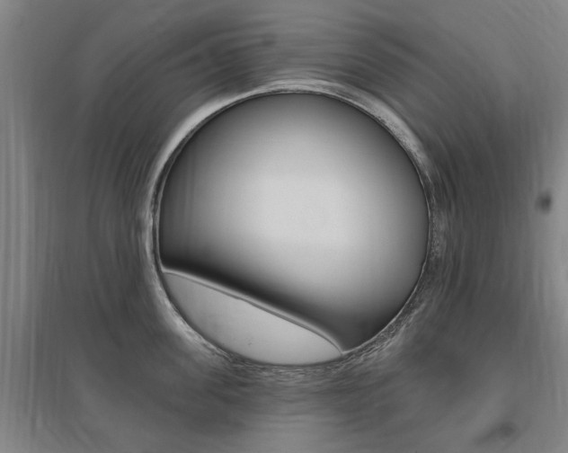 X0000095920955200801110852