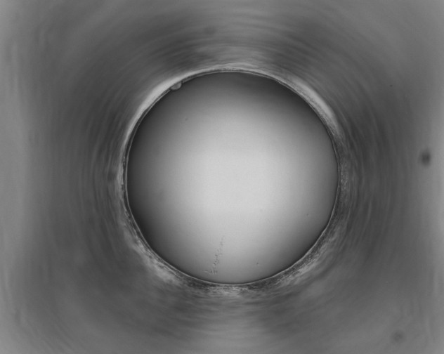 X0000095920956200801110852