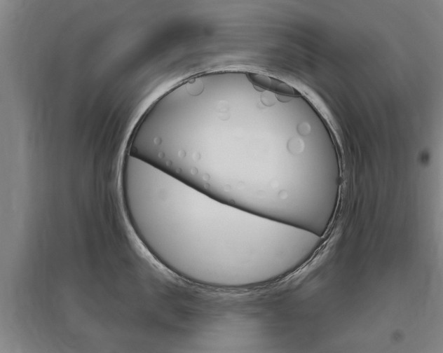 X0000095920957200801110852