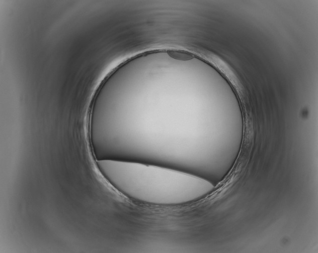 X0000095920958200801110852