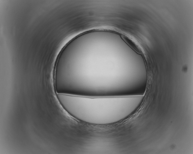 X0000095920959200801110852