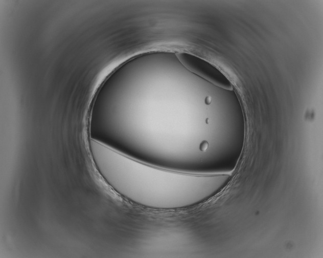 X0000095920960200801110852