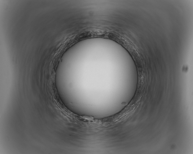 X0000095920961200801110851