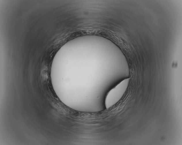 X0000095920962200801110851
