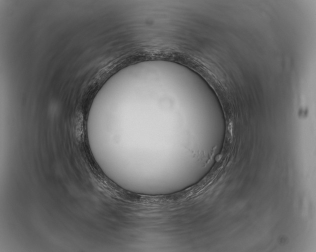 X0000095920963200801110851