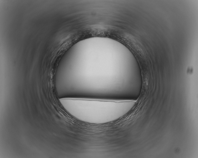 X0000095920964200801110851