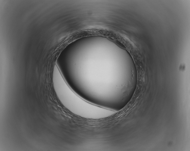 X0000095920965200801110851