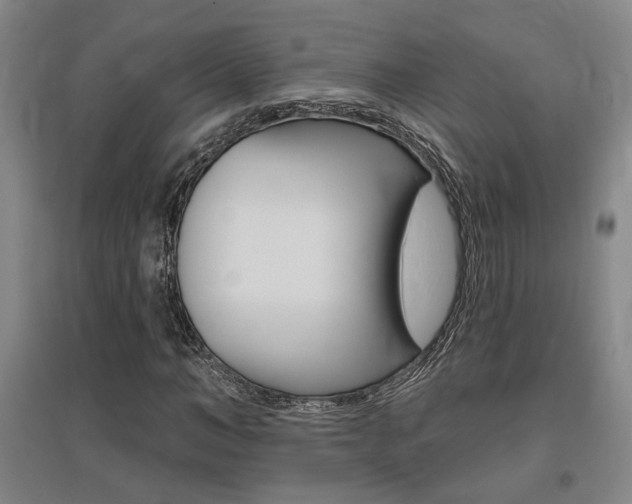 X0000095920966200801110851