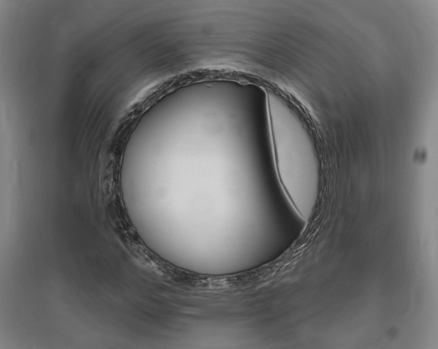 X0000095920968200801110851