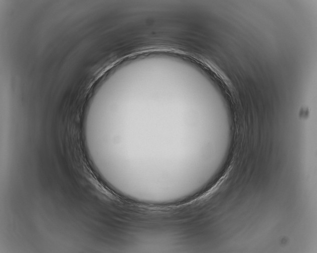 X0000095920969200801110851