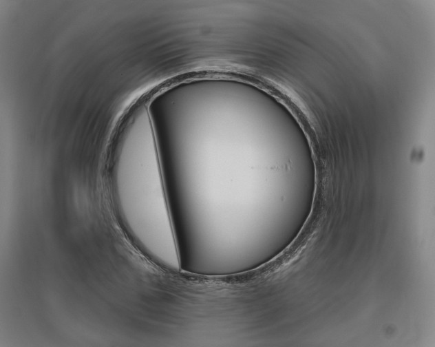 X0000095920971200801110851