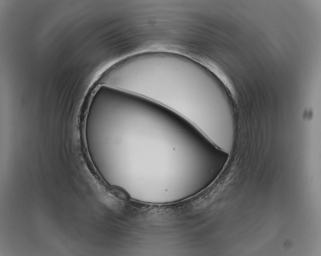 X0000095920972200801110851