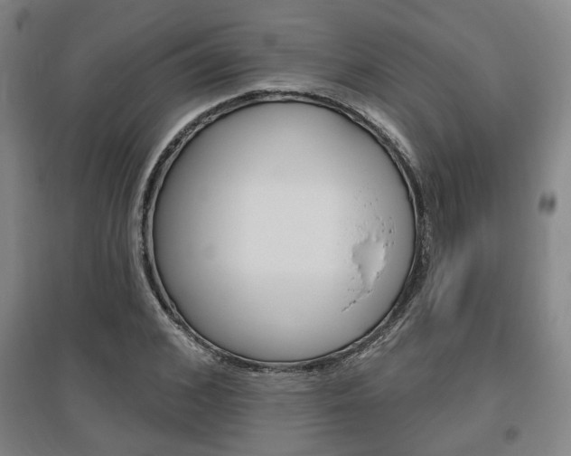 X0000095920976200801110851