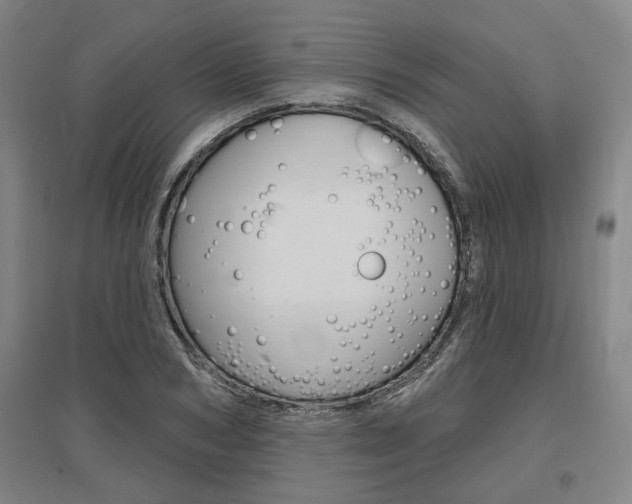 X0000095920978200801110851