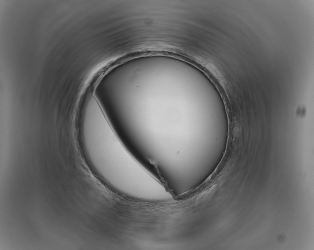 X0000095920979200801110851