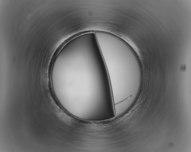 X0000095920980200801110851