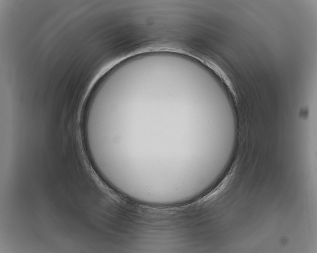 X0000095920981200801110851