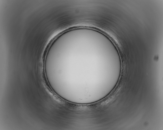 X0000095920982200801110851