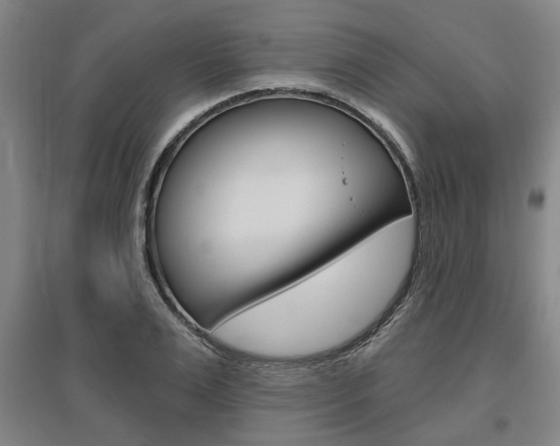X0000095920983200801110851